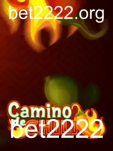 Descubra o Envolvente Mundo de CaminodeChili